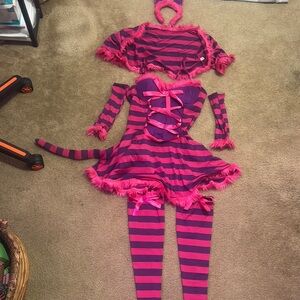 Charming Cheshire Cat Costume Alice in Wonderland